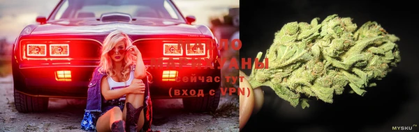 ГАЛЛЮЦИНОГЕННЫЕ ГРИБЫ Бородино