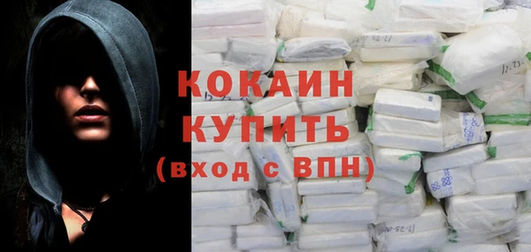 ГАЛЛЮЦИНОГЕННЫЕ ГРИБЫ Бородино