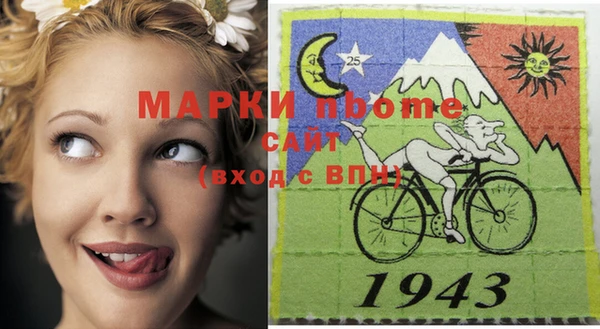 ГАЛЛЮЦИНОГЕННЫЕ ГРИБЫ Бородино