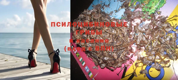 ГАЛЛЮЦИНОГЕННЫЕ ГРИБЫ Бородино