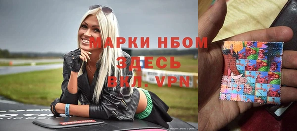 ГАЛЛЮЦИНОГЕННЫЕ ГРИБЫ Бородино